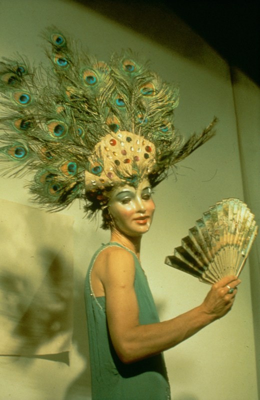 Joan Jonas, Organic Honey's Vertical Roll